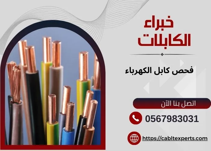 فحص كابل الكهرباء